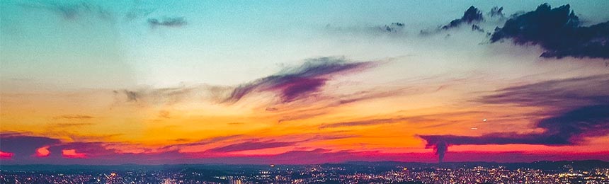 老河口茶虫网_老河口品茶